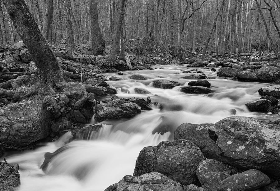 Robinson River Photograph by Dennis Kowalewski