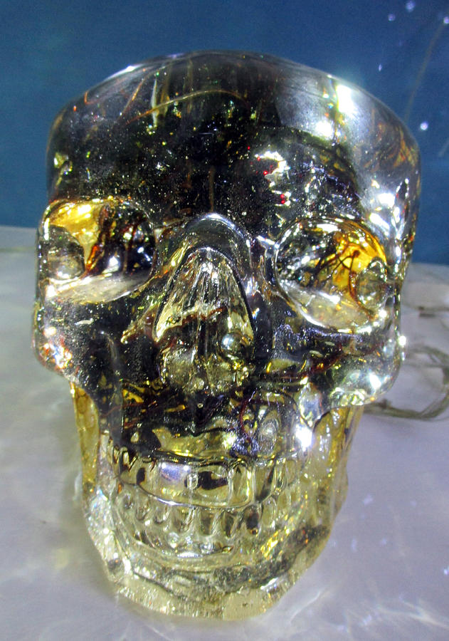 Robo Skull Photograph by Randall Weidner