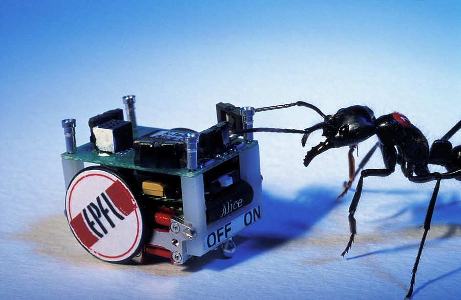 Robotic Ant Photograph by Pascal Goetgheluck/science Photo Library