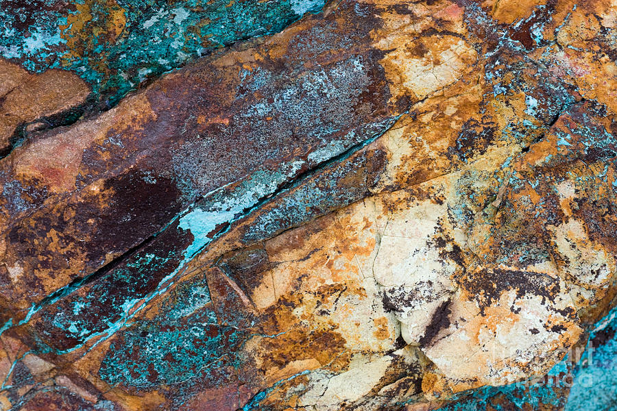 Rock Abstract Photograph by Chris Scroggins