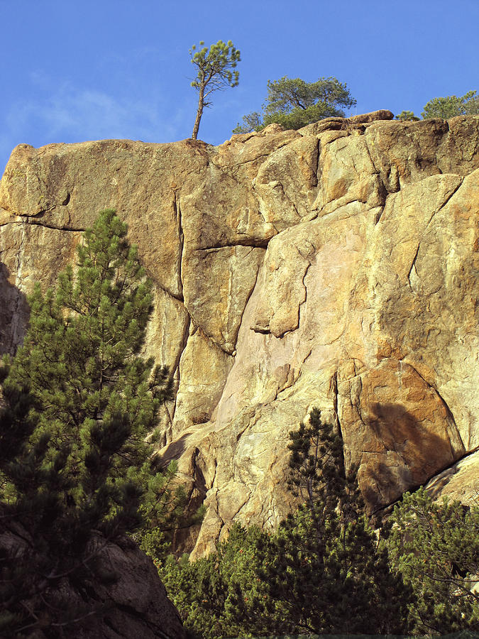 Rock Cliff Landscape Colorado Photograph by Ann Powell