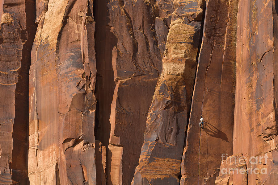 Mp Photograph - Rock Climber Indian Creek Utah by Yva Momatiuk and John Eastcott