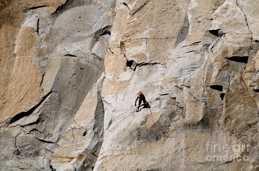 Yosemite National Park Photograph - Rock Climber On El Capitan by Mark Newman