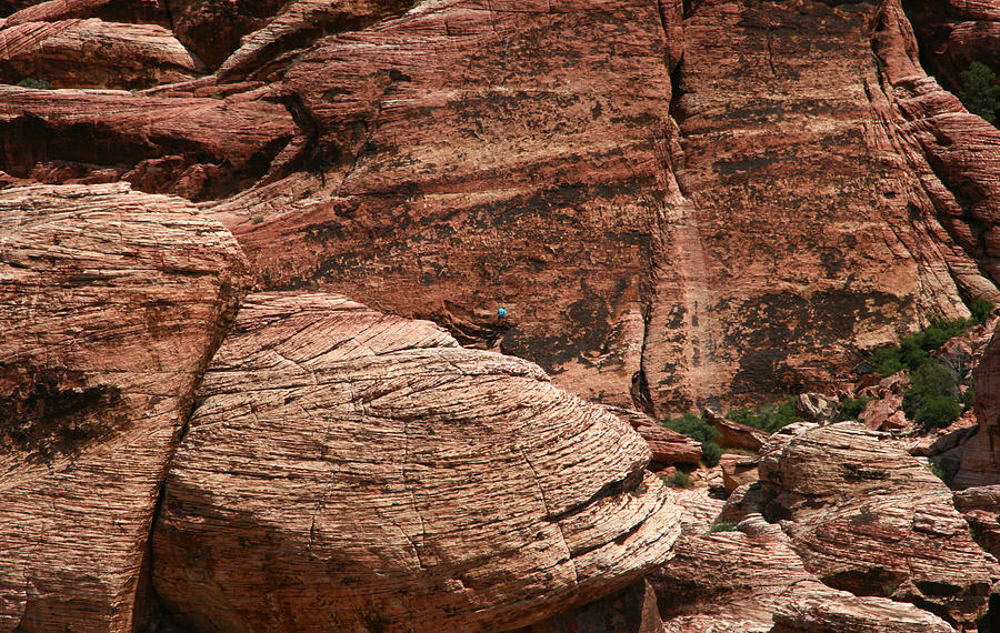 Rock Climber Photograph by Scott Cunningham