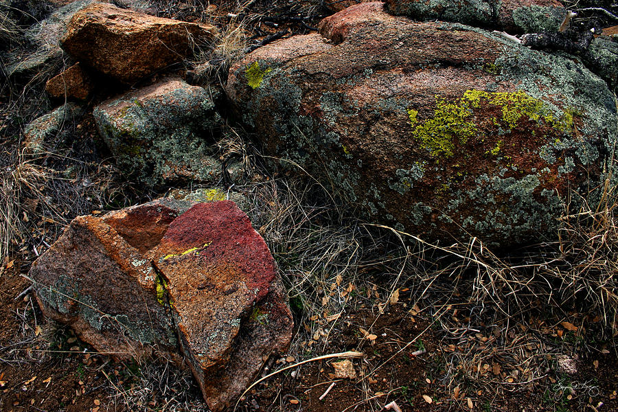 Rock Colors in the Arizona Landscape Photograph by Wayne King
