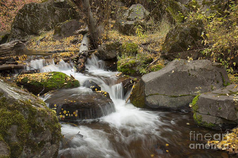 Rock Creek Autumn Photograph by Idaho Scenic Images Linda Lantzy