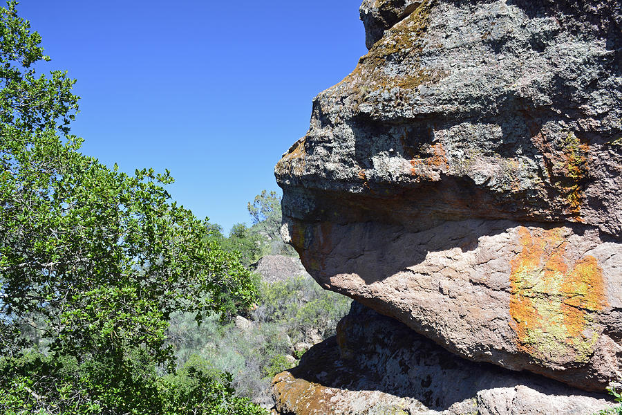 Rock Face in Pinnacles National Park Photograph by Bruce Gourley