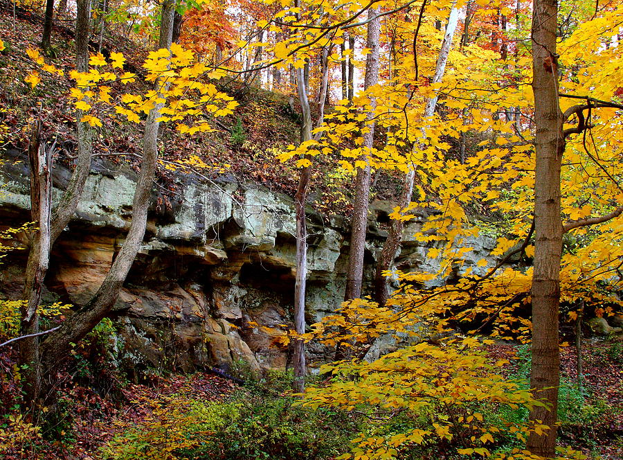 Rock Fall Gorge Photograph by Virginia Folkman