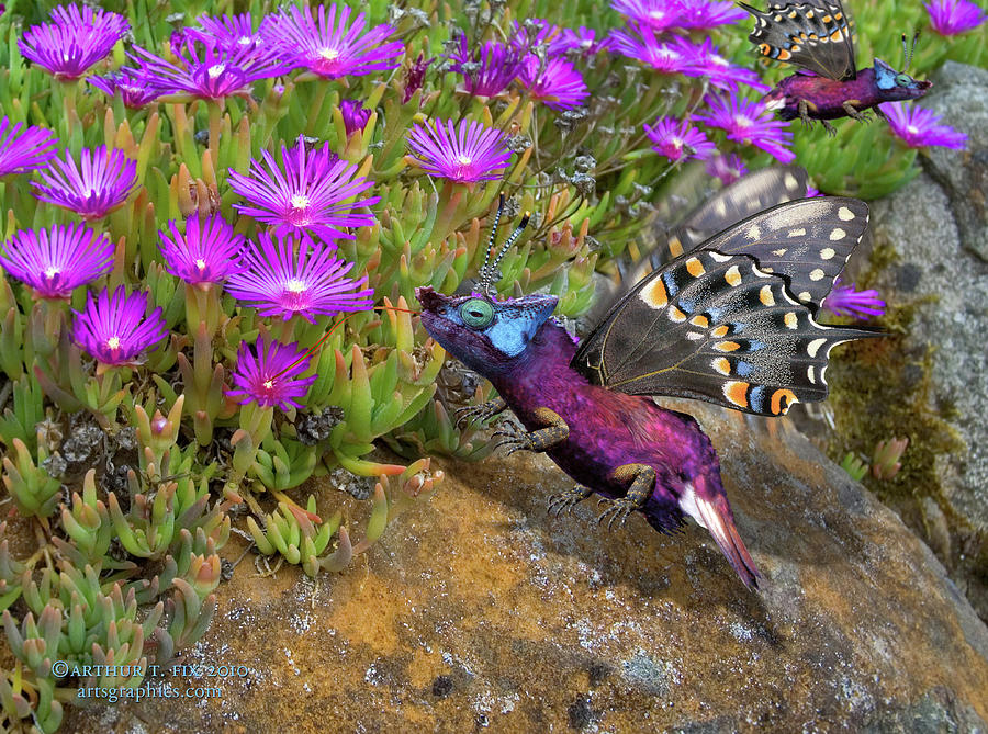 Rock Flower Birguana Fly Digital Art by Arthur Fix
