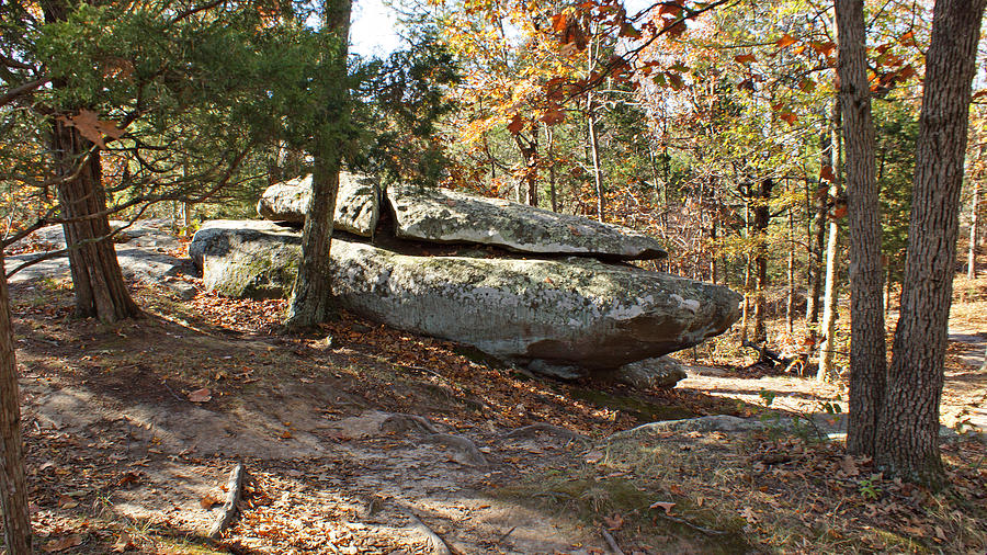 Rock Formation Amid the Trees Photograph by Sandy Keeton