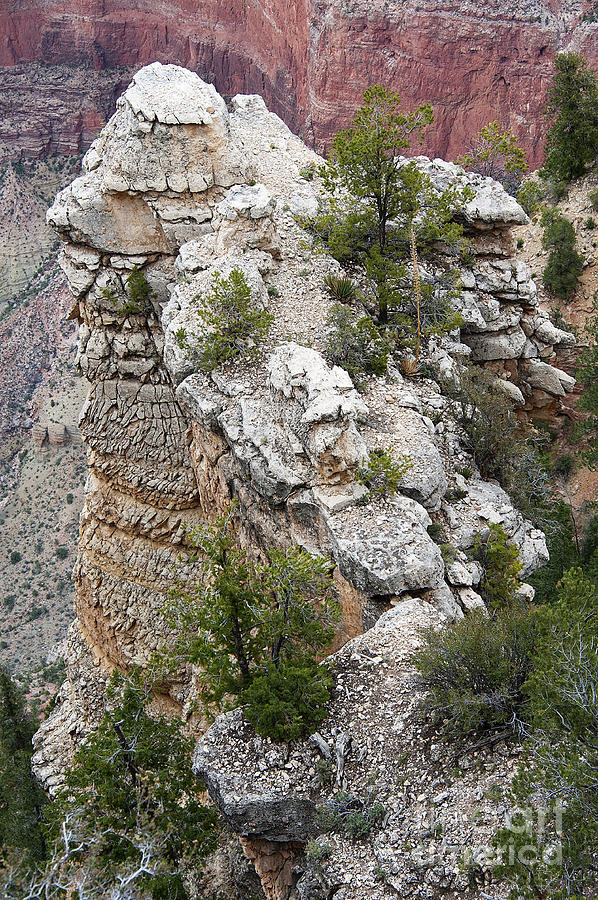Rock Formation at South Rim Photograph by Lee Craig