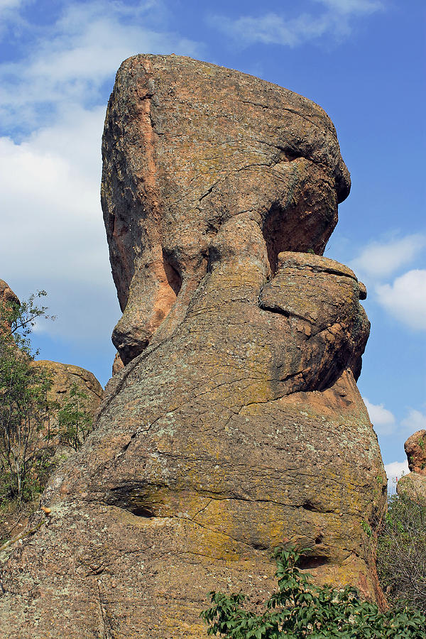 Rock Formation Belogradchik Photograph by Tony Murtagh