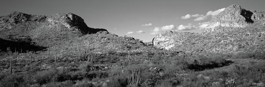 Black And White Photograph - Rock Formations, Ajo Mountain Drive by Panoramic Images