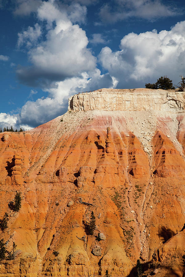 Nature Photograph - Rock Formations, Cedar Breaks National by Karen Desjardin