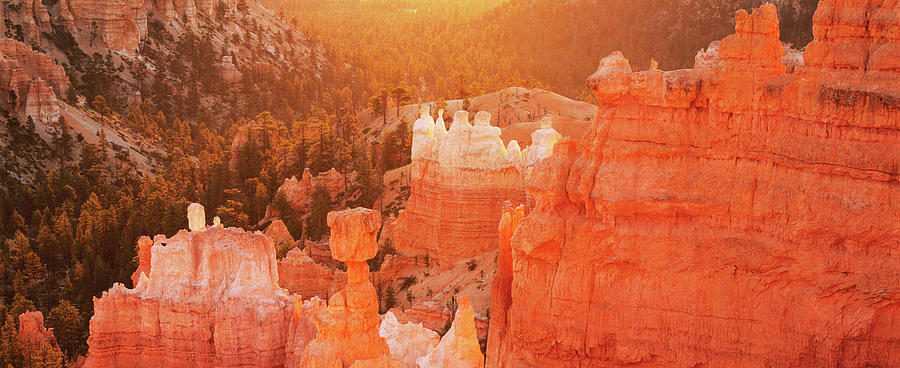 Rock Formations Of Bryce Canyon At Photograph by Gary Yeowell