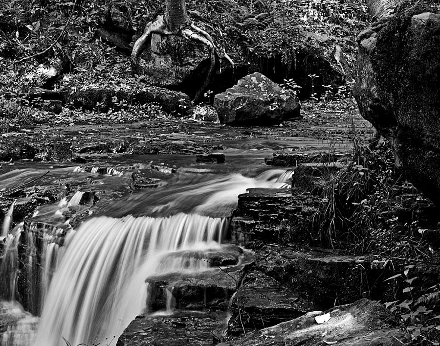 Rock Furnace Stream Wat 118 Photograph by G L Sarti | Fine Art America