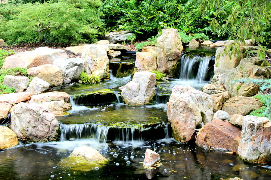 Rock Garden Falls Photograph by Rand Wall | Fine Art America