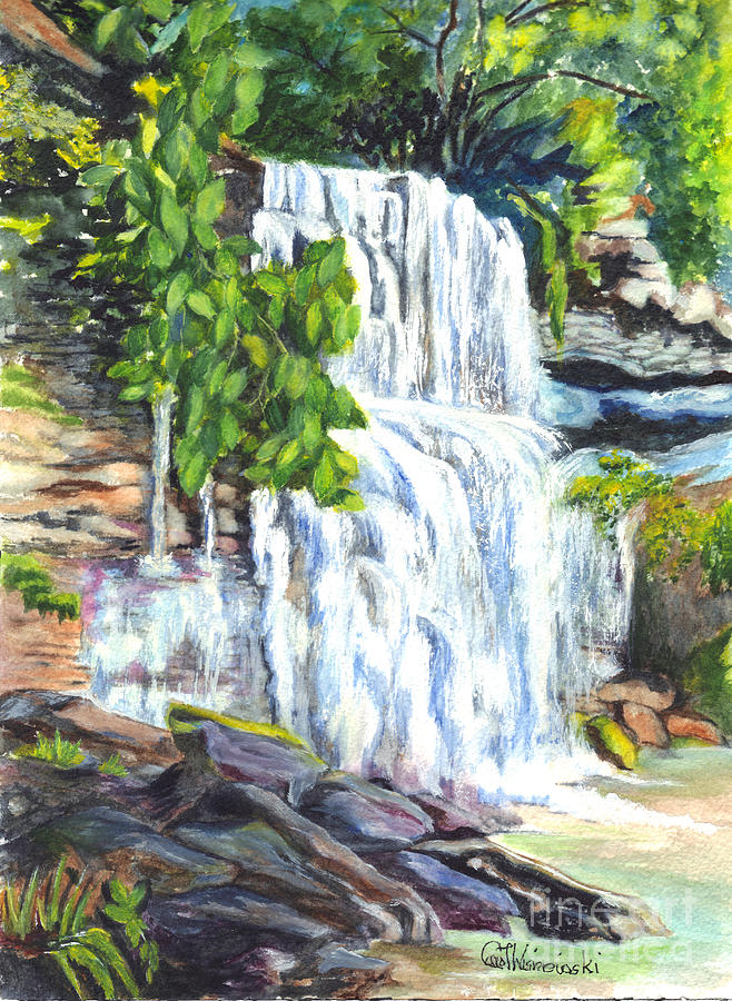 Waterfall Painting - Rock Glen Falls Ontario Canada by Carol Wisniewski