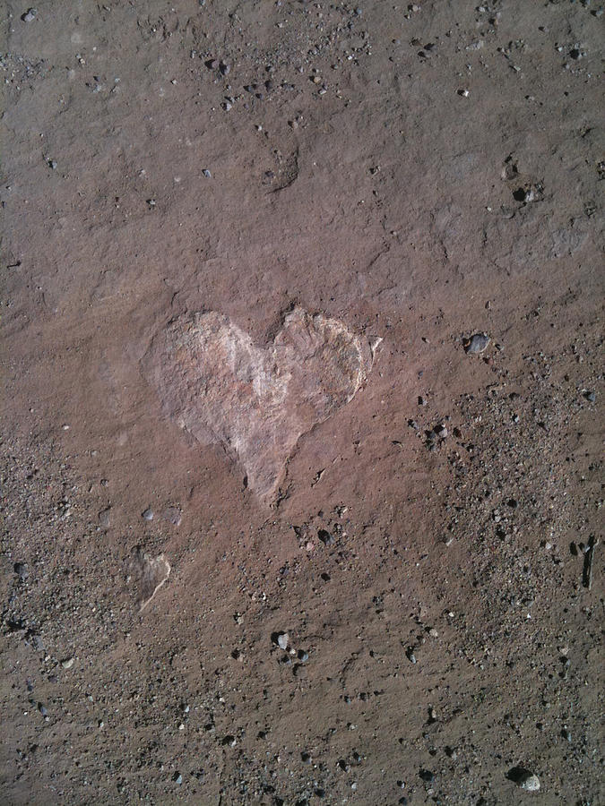 Rock Heart Photograph by Claudia Goodell