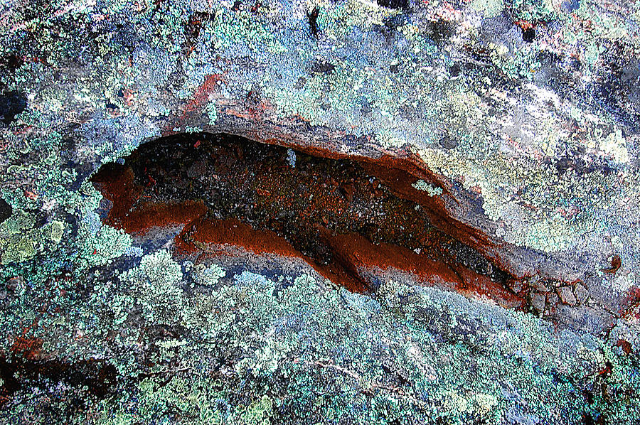 Rock Imprint Photograph by Patrick Boening
