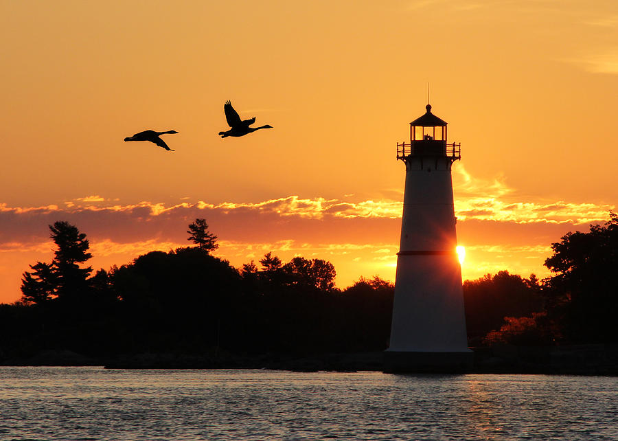 Rock Island Lighthouse Silhouettes Photograph by Lori Deiter
