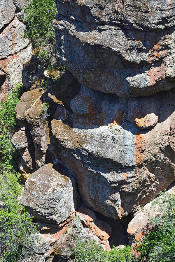 Rock Monster in Pinnacles National Park Photograph by Bruce Gourley