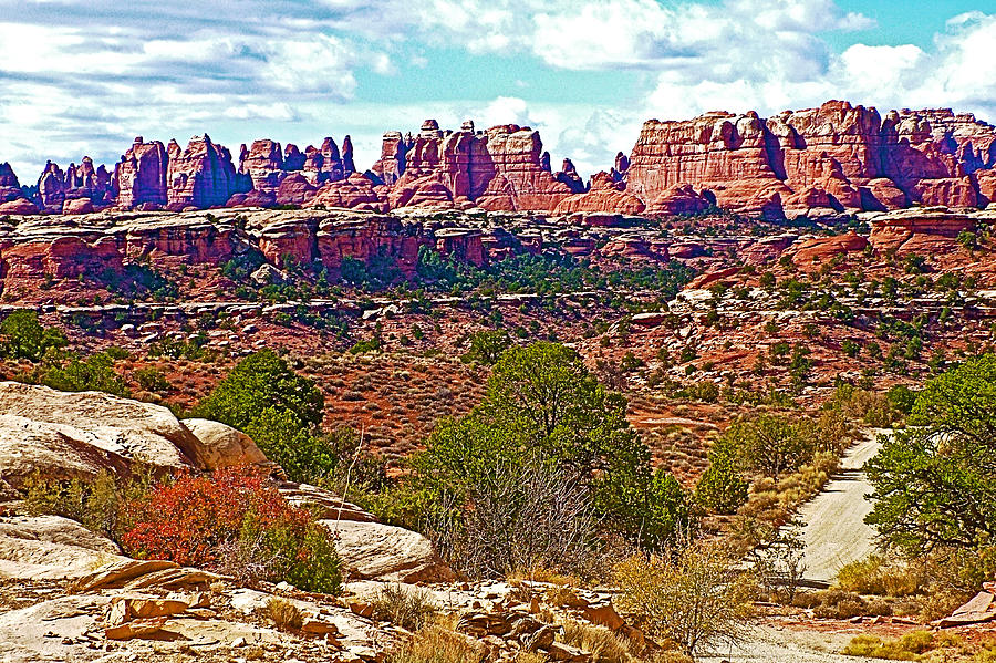 Rock Needles in Needles District in Canyonlands National Park-Utah  Photograph by Ruth Hager