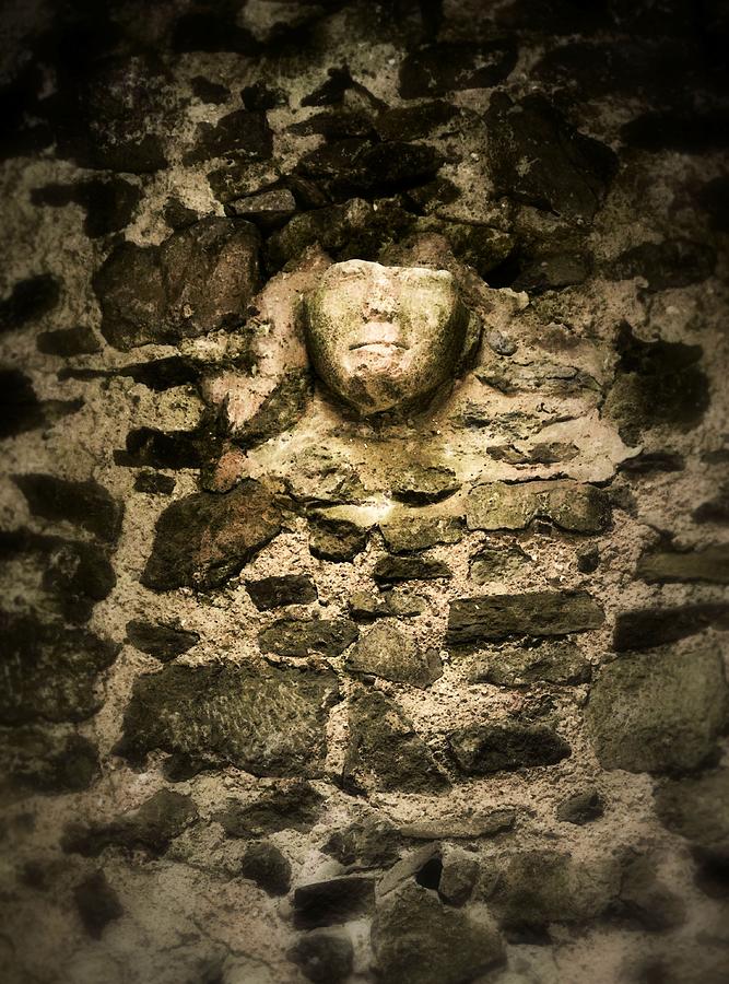 The Face in the Wall - Rock of Cashel Photograph by Nadalyn Larsen