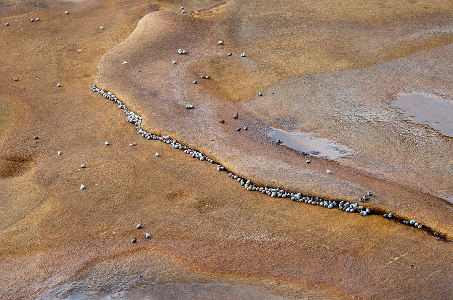 Rock Pool Art F Photograph by Peter Kneen