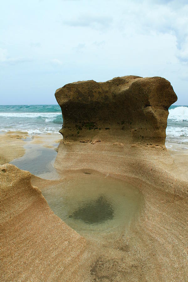 Rock Pool Photograph by Catie Canetti