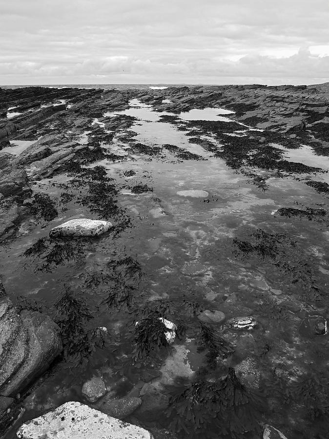 Water Photograph - Rock Pool by Steve Watson Water Photograph - Rock Pool by Steve Watson