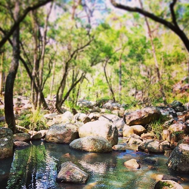Landscape Photograph - Rock Pools#seeaustralia #mtbarney by Lana Hollander