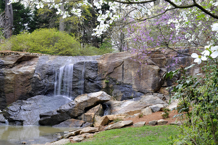 Rock Quarry Falls in Greenville SC Cleveland Park Photograph by Willie Harper