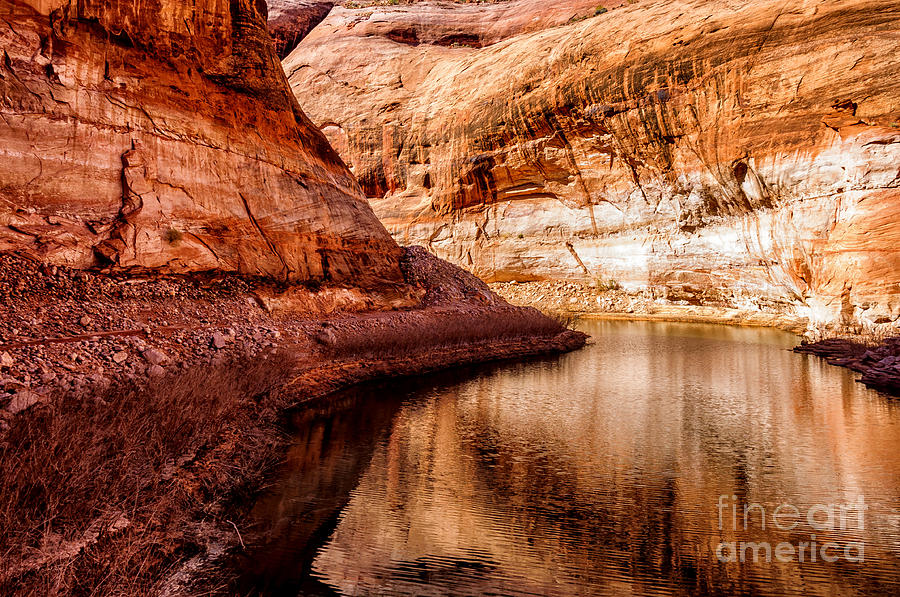 Rock Reflections Photograph by Thomas R Fletcher