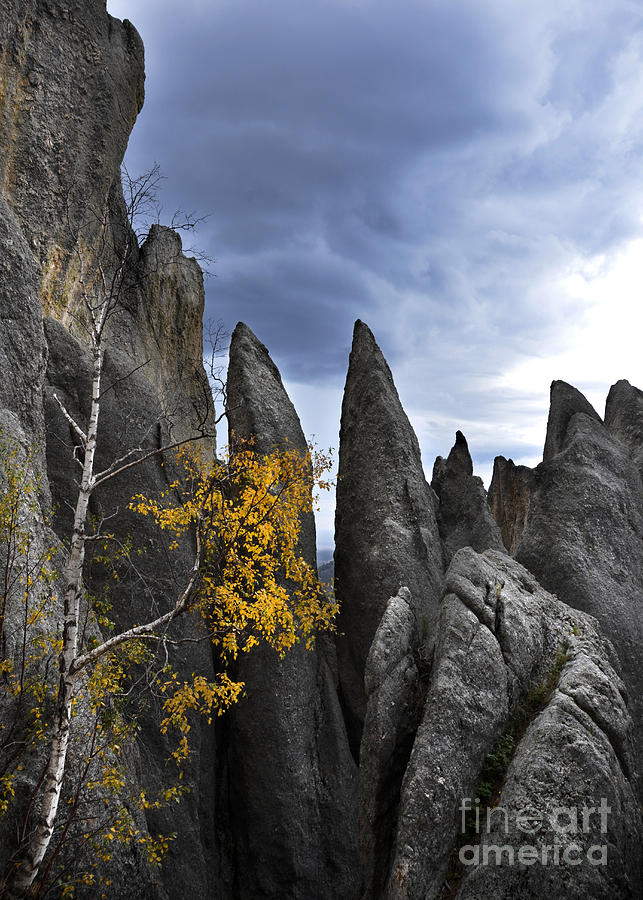 Rock Spires in the Black Hills Photograph by Jill Battaglia