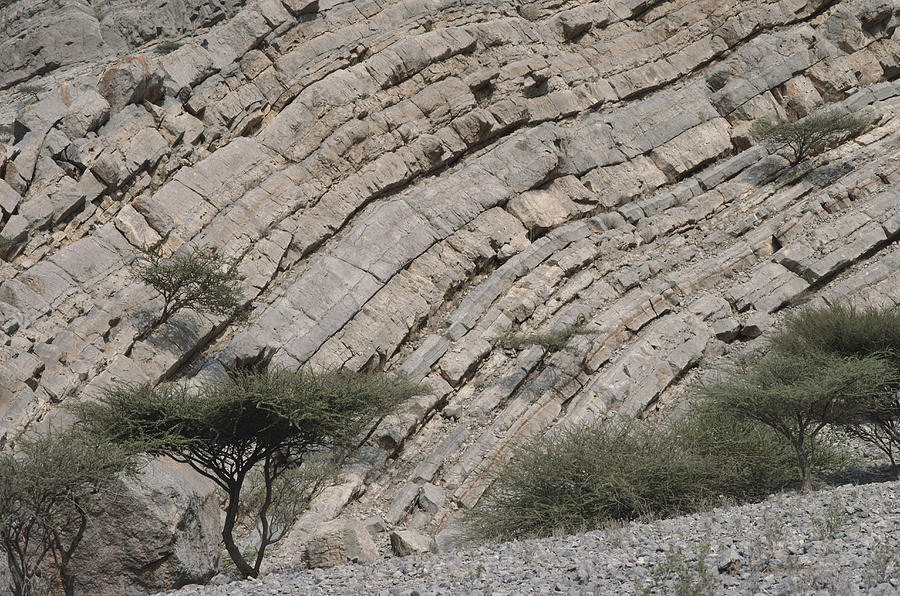 Rock Strata, United Arab Emirates Photograph by A.b. Joyce