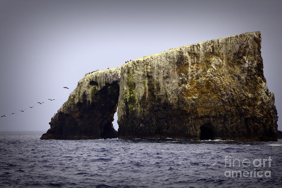 Anacapa Island Arch Rock Photograph by David Millenheft