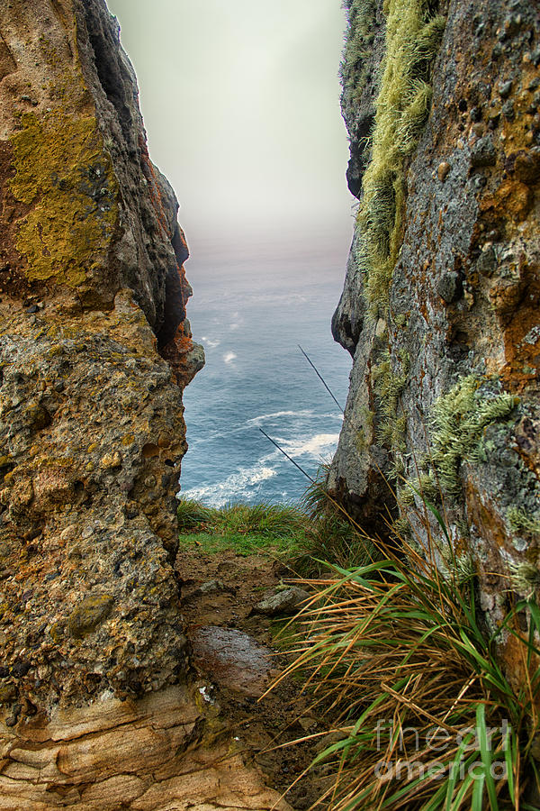 Rock View Photograph by Paul Gillham