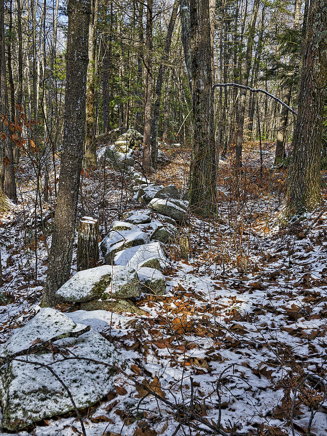 Rock Wall - Maine Photograph by Steven Ralser