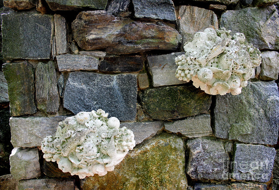 Rock Wall  Photograph by Karen Adams