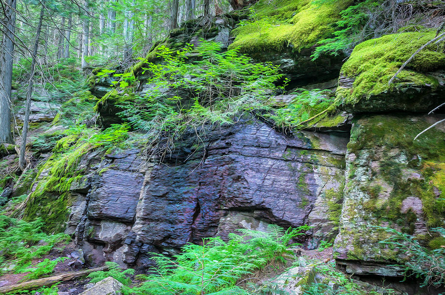 Rock Wall Trail of The Cedars Glacier National Park Painted Photograph by Rich Franco