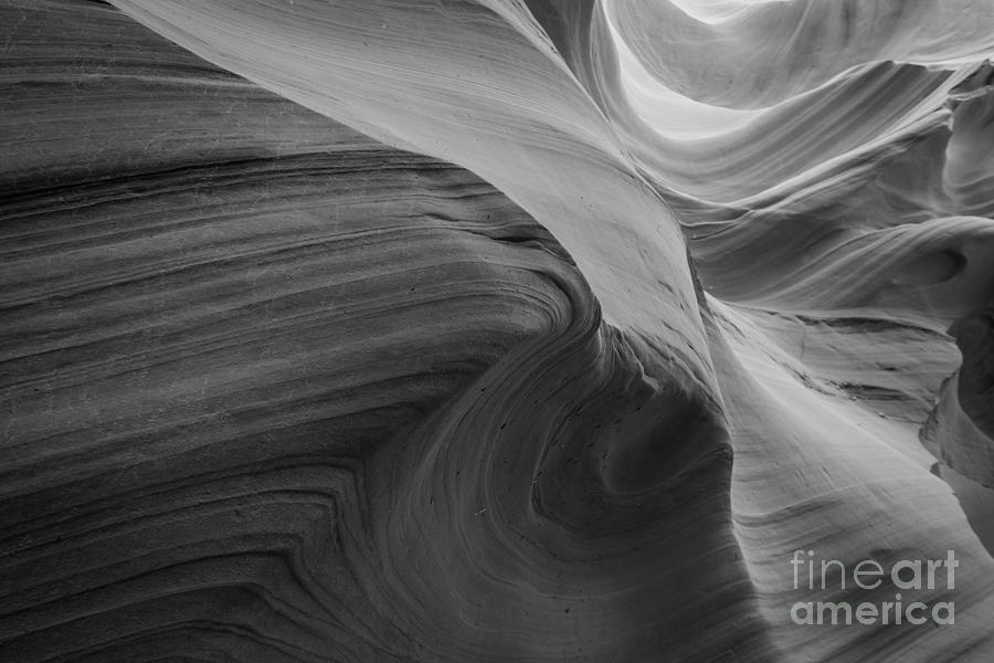Rock Waves BW Photograph by Michael Ver Sprill