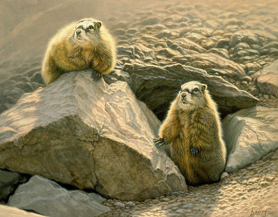 Wildlife Painting - Rockchucks on the Talus Slope by Paul Krapf