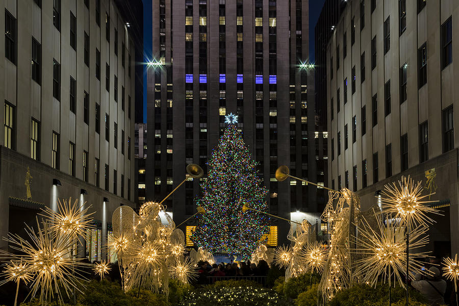 Rockefeller Center Christmas Tree Photograph by Susan Candelario