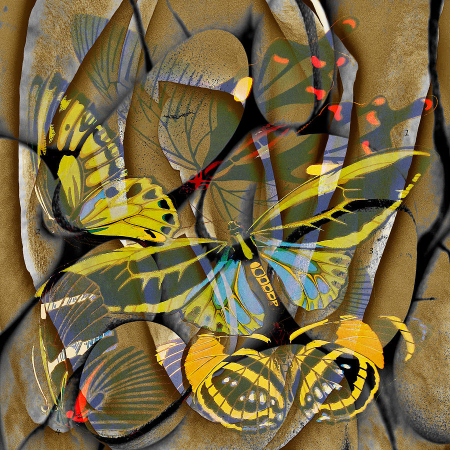 Butterfly Digital Art - Rockery by Richard Newman