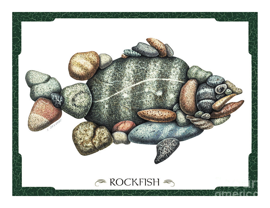 Rockfish Painting by JQ Licensing