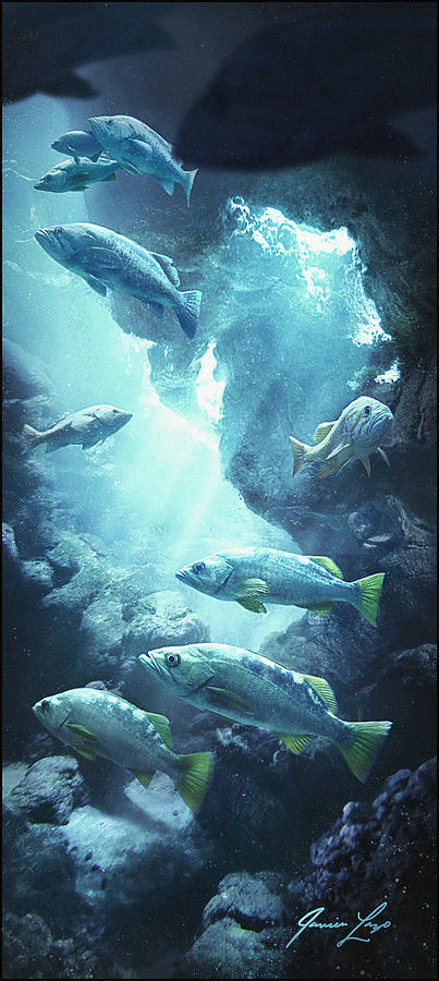 Fish Digital Art - Rockfish Sanctuary by Javier Lazo