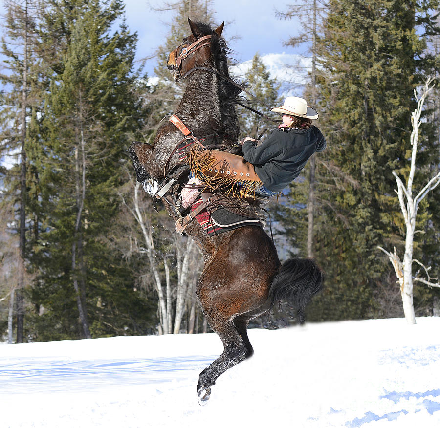 Rockin Horse Photograph by Dennis Hammer