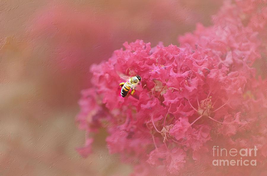Nature Photograph - Rockin Pink Bee by Peggy Franz