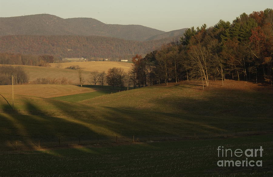 Rockingham County Virginia Meadow Photograph by Anna Lisa Yoder